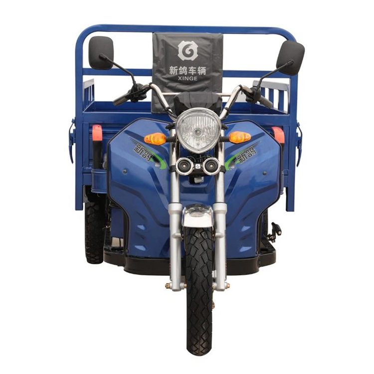 Neues Modell Lade elektrische Cargo Tricycle