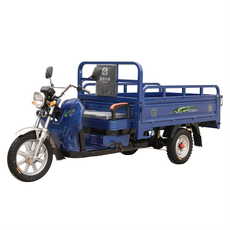 Neues Modell Lade elektrische Cargo Tricycle