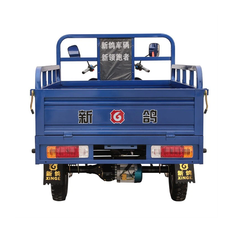 Neues Modell Lade elektrische Cargo Tricycle