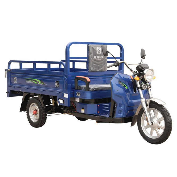 Neues Modell Lade elektrische Cargo Tricycle