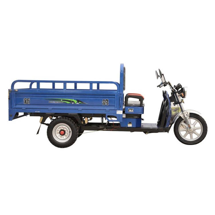 Neues Modell Lade elektrische Cargo Tricycle